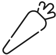 JULIE & ROSE - Möhre Icon - Vegan